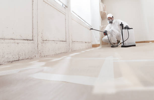 24/7 Emergency Basement Mold Remediation experts in West Hempstead, NY